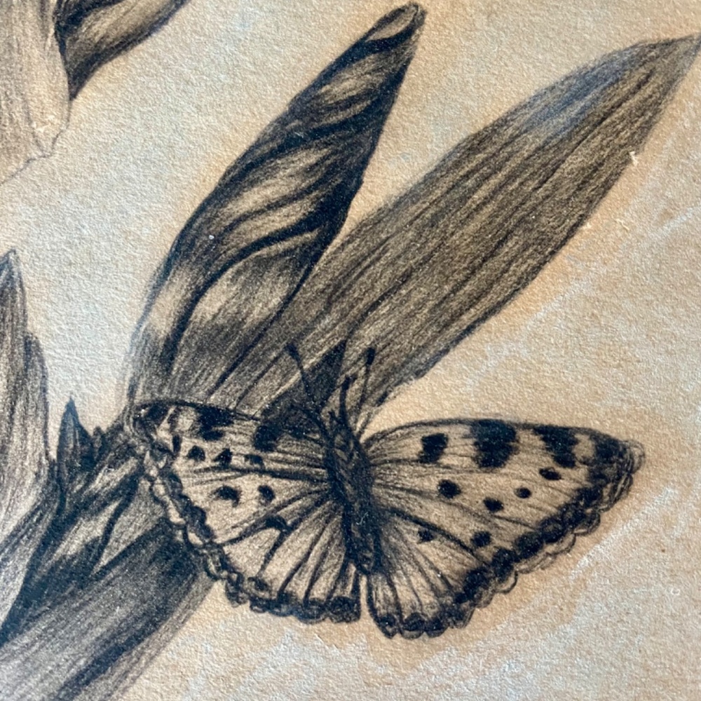 Very Old Original Drawing - Picture 2 of 6